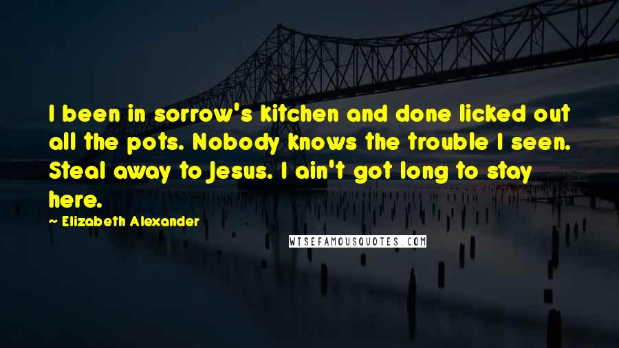 Elizabeth Alexander Quotes: I been in sorrow's kitchen and done licked out all the pots. Nobody knows the trouble I seen. Steal away to Jesus. I ain't got long to stay here.