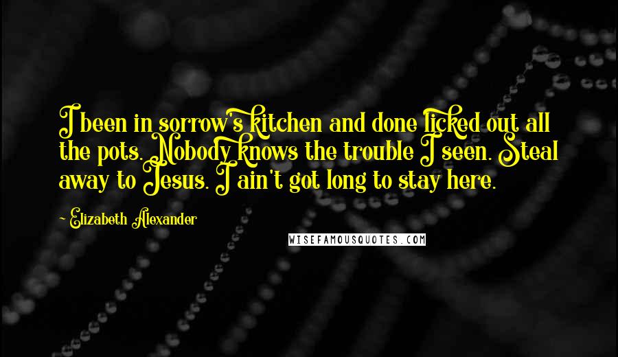 Elizabeth Alexander Quotes: I been in sorrow's kitchen and done licked out all the pots. Nobody knows the trouble I seen. Steal away to Jesus. I ain't got long to stay here.