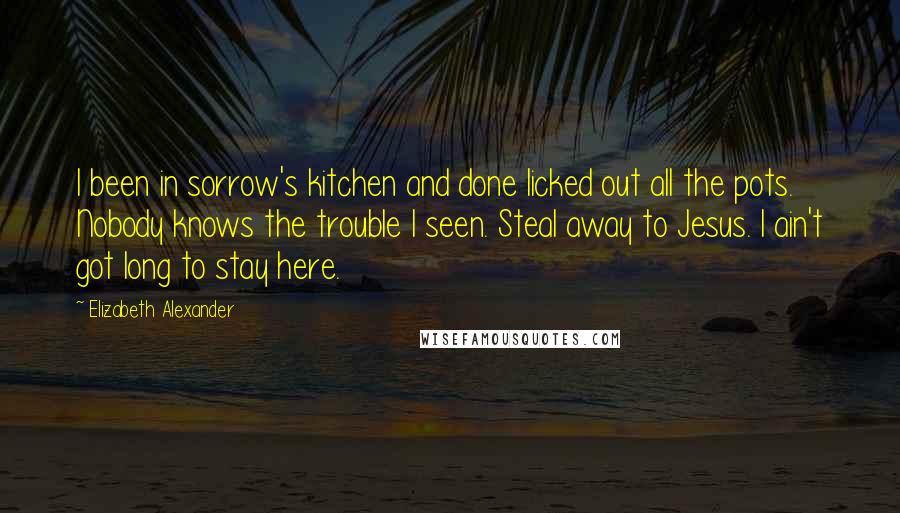 Elizabeth Alexander Quotes: I been in sorrow's kitchen and done licked out all the pots. Nobody knows the trouble I seen. Steal away to Jesus. I ain't got long to stay here.