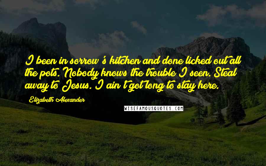 Elizabeth Alexander Quotes: I been in sorrow's kitchen and done licked out all the pots. Nobody knows the trouble I seen. Steal away to Jesus. I ain't got long to stay here.