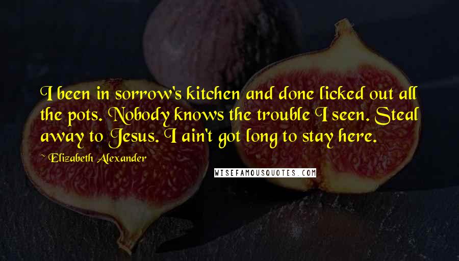 Elizabeth Alexander Quotes: I been in sorrow's kitchen and done licked out all the pots. Nobody knows the trouble I seen. Steal away to Jesus. I ain't got long to stay here.