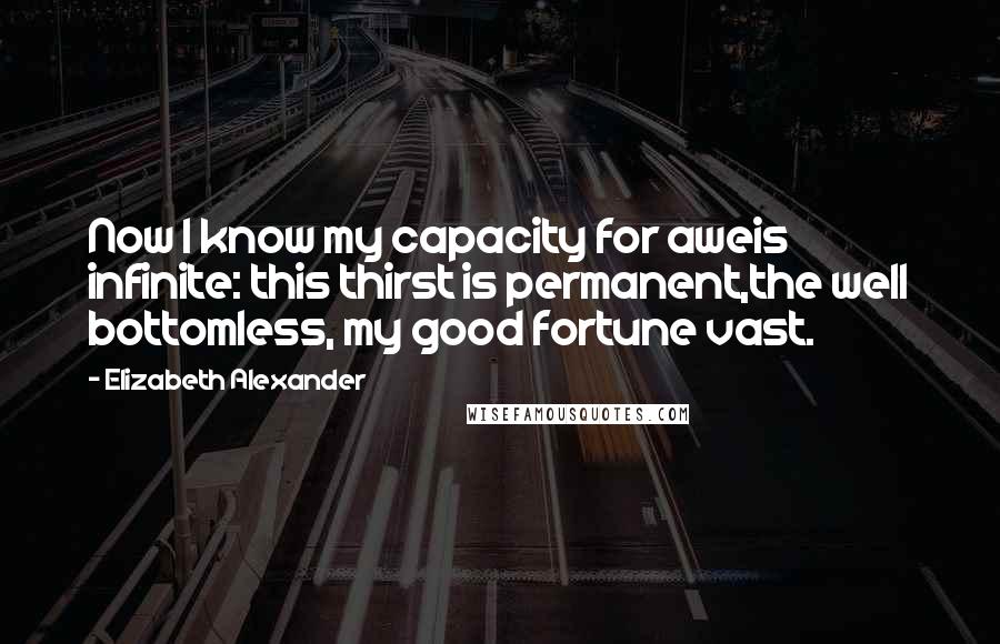 Elizabeth Alexander Quotes: Now I know my capacity for aweis infinite: this thirst is permanent,the well bottomless, my good fortune vast.