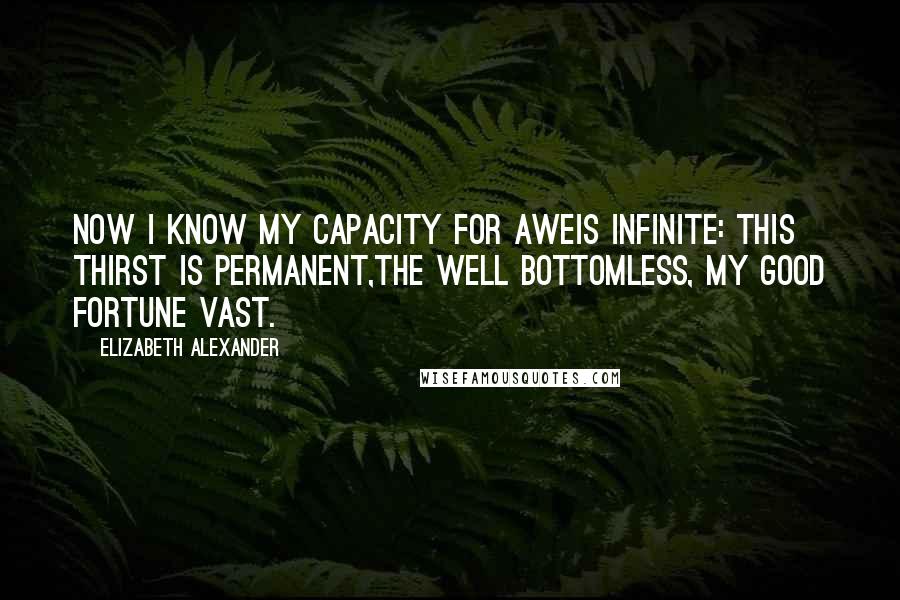 Elizabeth Alexander Quotes: Now I know my capacity for aweis infinite: this thirst is permanent,the well bottomless, my good fortune vast.