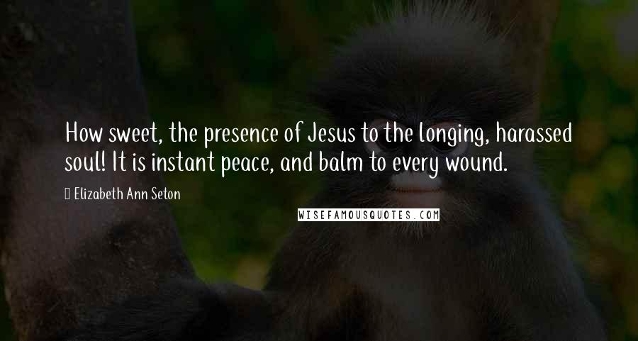 Elizabeth Ann Seton Quotes: How sweet, the presence of Jesus to the longing, harassed soul! It is instant peace, and balm to every wound.