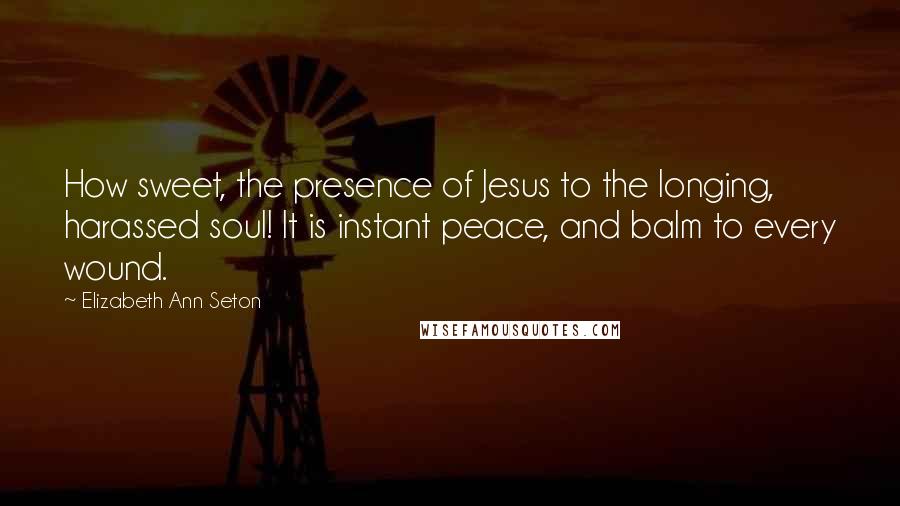 Elizabeth Ann Seton Quotes: How sweet, the presence of Jesus to the longing, harassed soul! It is instant peace, and balm to every wound.