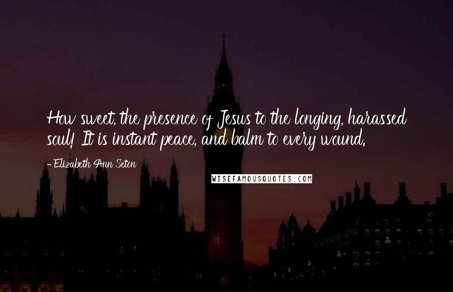 Elizabeth Ann Seton Quotes: How sweet, the presence of Jesus to the longing, harassed soul! It is instant peace, and balm to every wound.