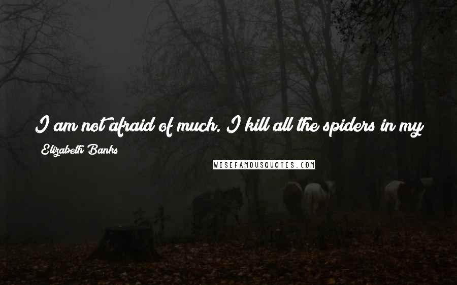 Elizabeth Banks Quotes: I am not afraid of much. I kill all the spiders in my house, and I'm planning to go skydiving. I am into girl power, and I'm very self-sufficient.