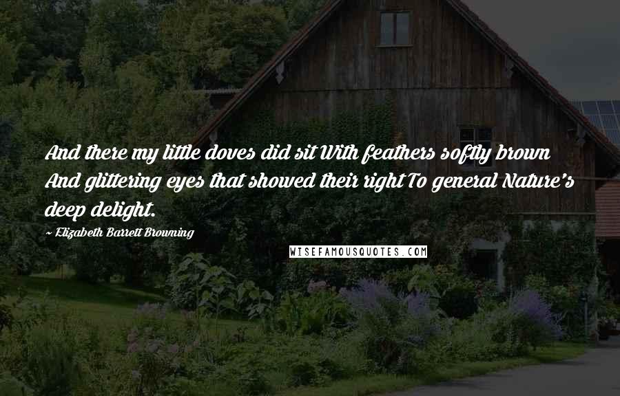 Elizabeth Barrett Browning Quotes: And there my little doves did sit With feathers softly brown And glittering eyes that showed their right To general Nature's deep delight.