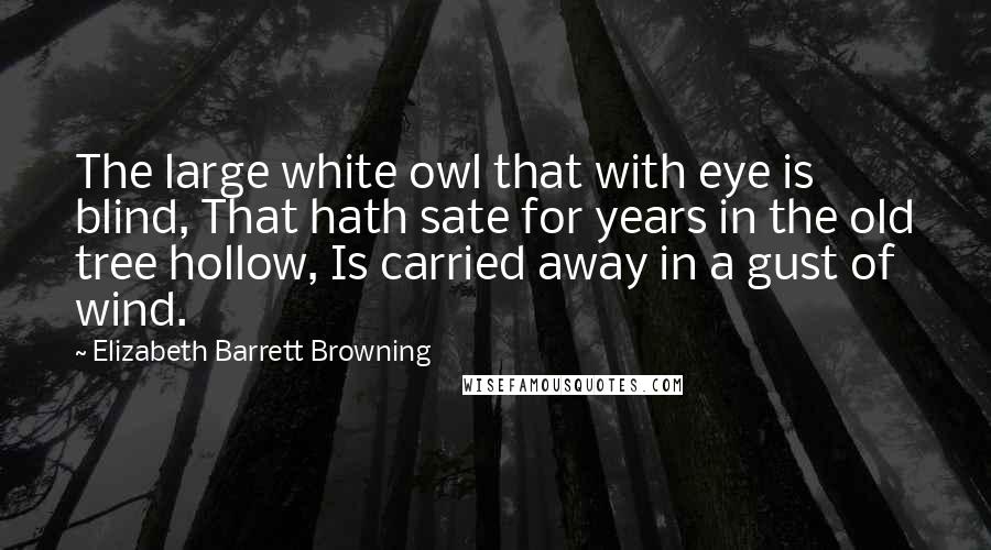 Elizabeth Barrett Browning Quotes: The large white owl that with eye is blind, That hath sate for years in the old tree hollow, Is carried away in a gust of wind.