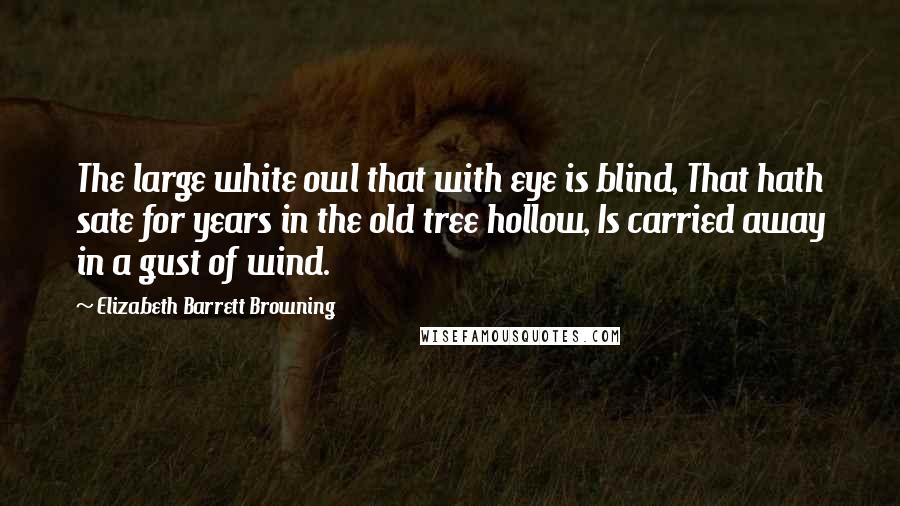 Elizabeth Barrett Browning Quotes: The large white owl that with eye is blind, That hath sate for years in the old tree hollow, Is carried away in a gust of wind.