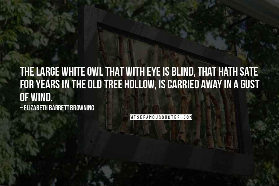 Elizabeth Barrett Browning Quotes: The large white owl that with eye is blind, That hath sate for years in the old tree hollow, Is carried away in a gust of wind.