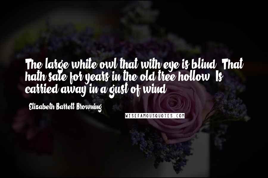 Elizabeth Barrett Browning Quotes: The large white owl that with eye is blind, That hath sate for years in the old tree hollow, Is carried away in a gust of wind.