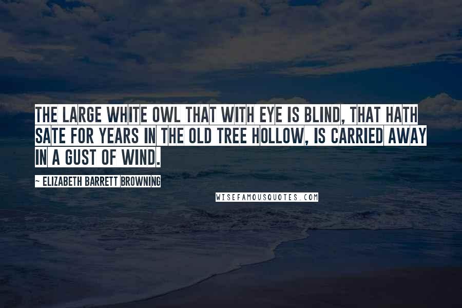 Elizabeth Barrett Browning Quotes: The large white owl that with eye is blind, That hath sate for years in the old tree hollow, Is carried away in a gust of wind.