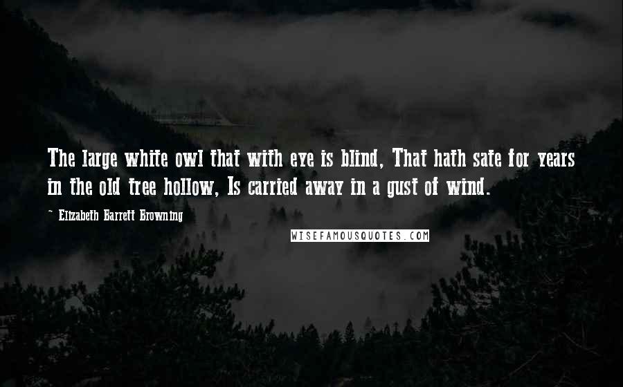 Elizabeth Barrett Browning Quotes: The large white owl that with eye is blind, That hath sate for years in the old tree hollow, Is carried away in a gust of wind.