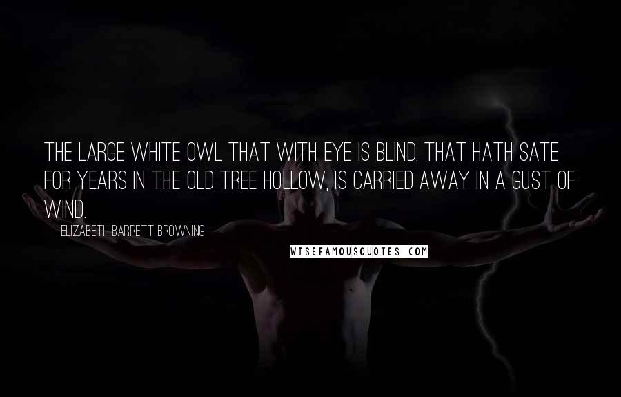 Elizabeth Barrett Browning Quotes: The large white owl that with eye is blind, That hath sate for years in the old tree hollow, Is carried away in a gust of wind.