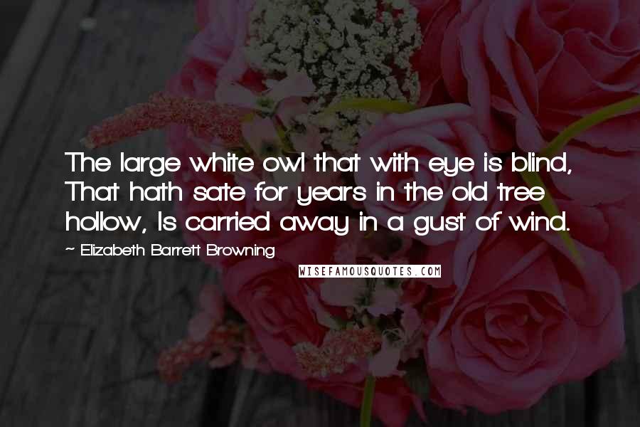 Elizabeth Barrett Browning Quotes: The large white owl that with eye is blind, That hath sate for years in the old tree hollow, Is carried away in a gust of wind.