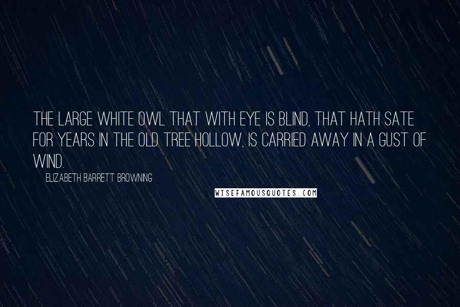 Elizabeth Barrett Browning Quotes: The large white owl that with eye is blind, That hath sate for years in the old tree hollow, Is carried away in a gust of wind.