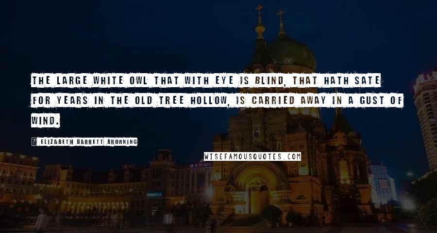 Elizabeth Barrett Browning Quotes: The large white owl that with eye is blind, That hath sate for years in the old tree hollow, Is carried away in a gust of wind.