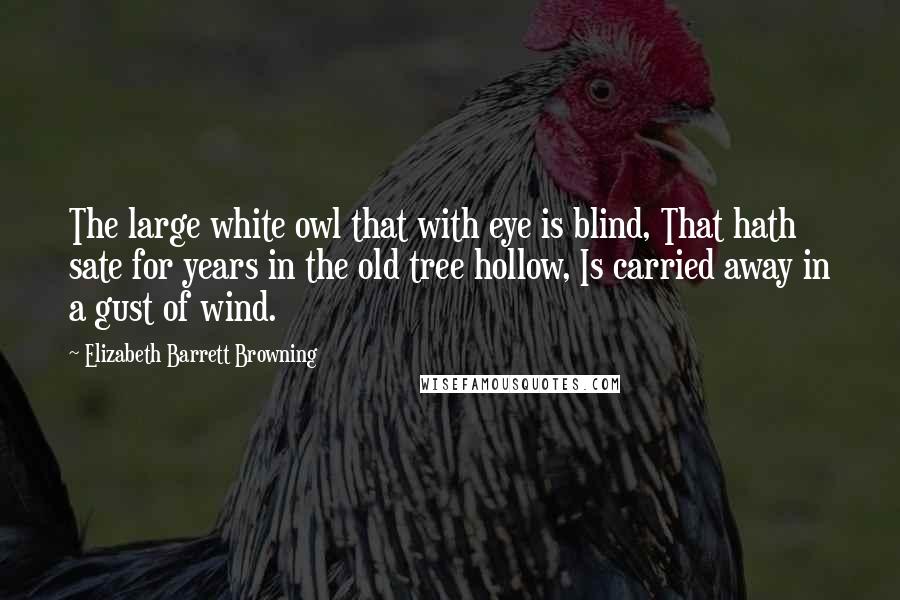 Elizabeth Barrett Browning Quotes: The large white owl that with eye is blind, That hath sate for years in the old tree hollow, Is carried away in a gust of wind.