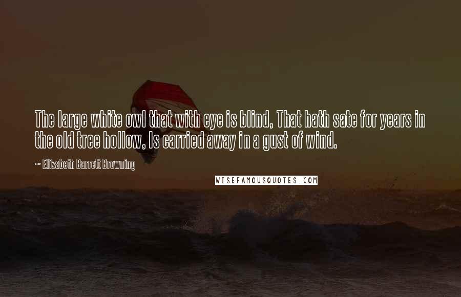 Elizabeth Barrett Browning Quotes: The large white owl that with eye is blind, That hath sate for years in the old tree hollow, Is carried away in a gust of wind.