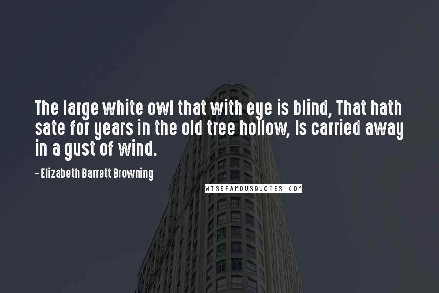 Elizabeth Barrett Browning Quotes: The large white owl that with eye is blind, That hath sate for years in the old tree hollow, Is carried away in a gust of wind.