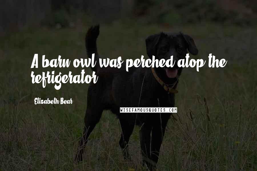 Elizabeth Bear Quotes: A barn owl was perched atop the refrigerator.