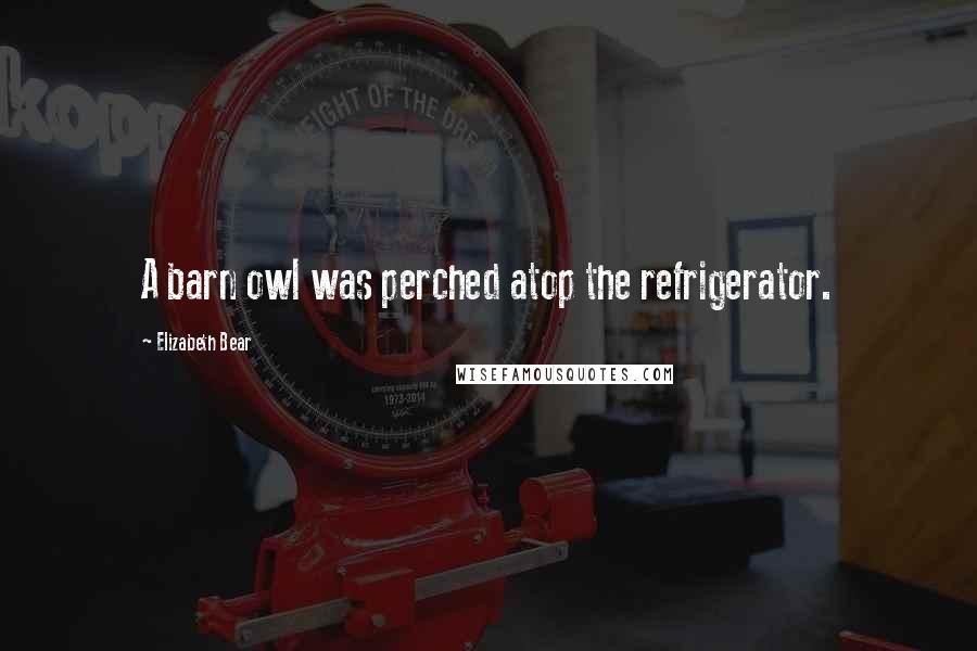 Elizabeth Bear Quotes: A barn owl was perched atop the refrigerator.