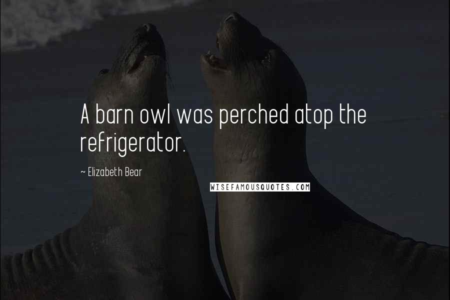 Elizabeth Bear Quotes: A barn owl was perched atop the refrigerator.