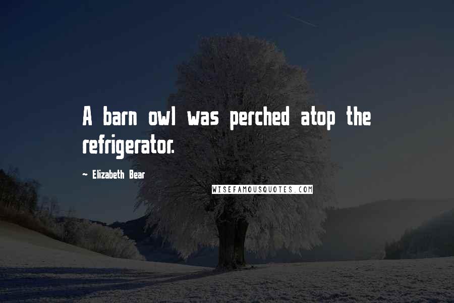 Elizabeth Bear Quotes: A barn owl was perched atop the refrigerator.