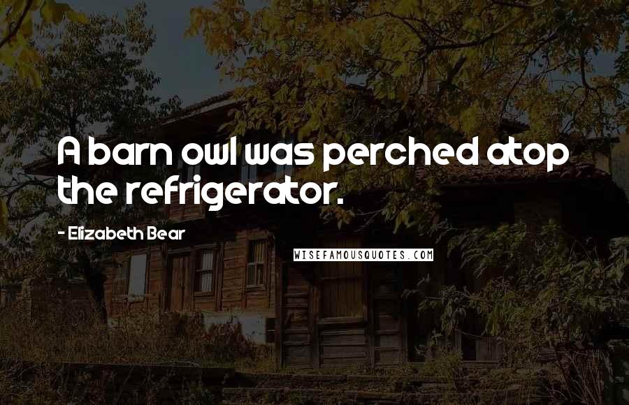 Elizabeth Bear Quotes: A barn owl was perched atop the refrigerator.