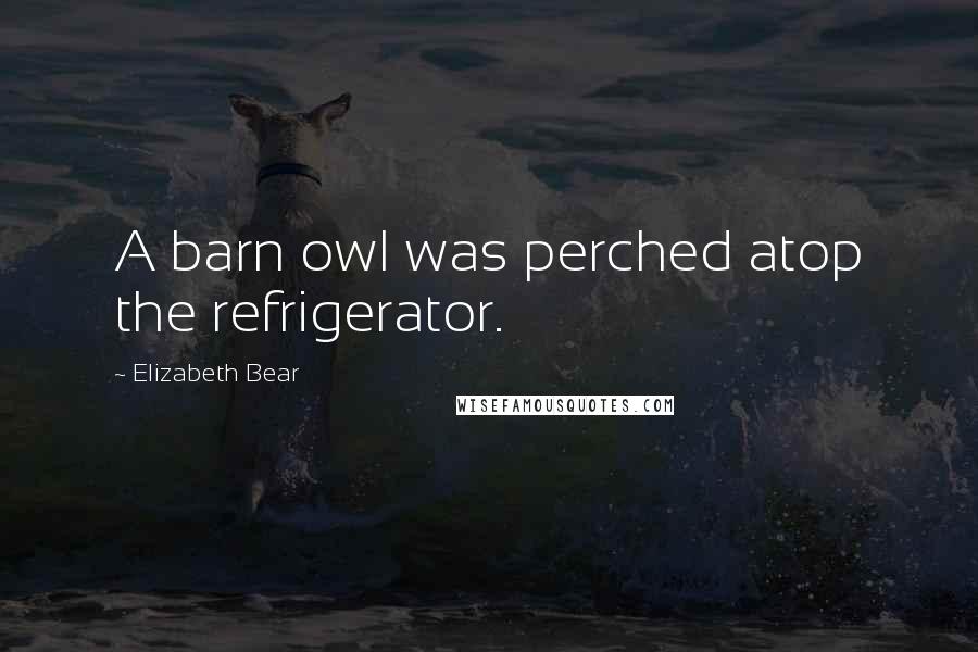 Elizabeth Bear Quotes: A barn owl was perched atop the refrigerator.