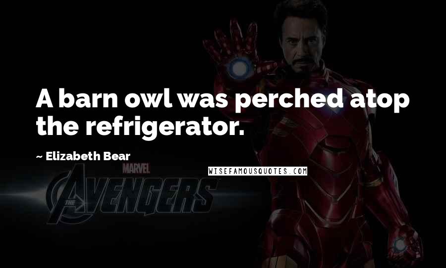 Elizabeth Bear Quotes: A barn owl was perched atop the refrigerator.