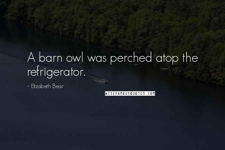 Elizabeth Bear Quotes: A barn owl was perched atop the refrigerator.