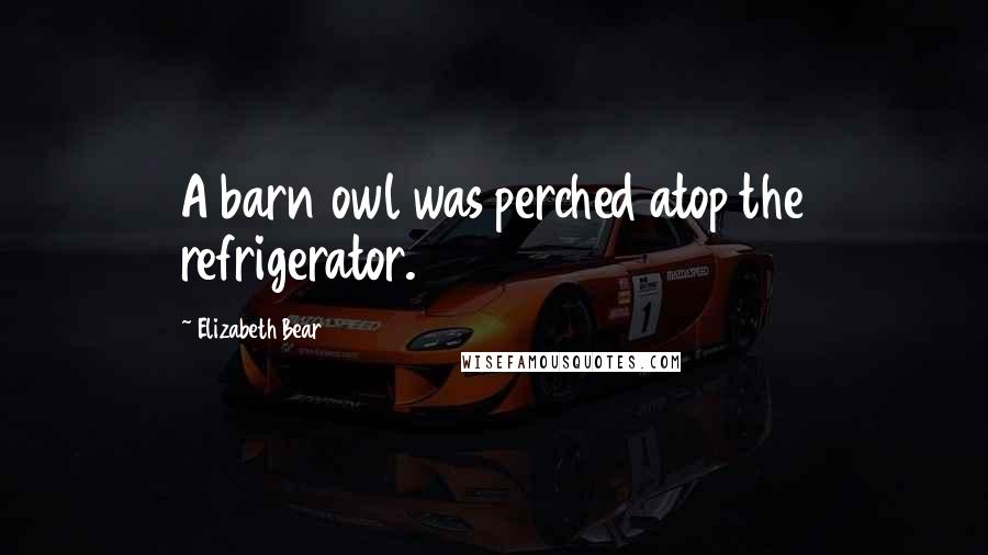 Elizabeth Bear Quotes: A barn owl was perched atop the refrigerator.