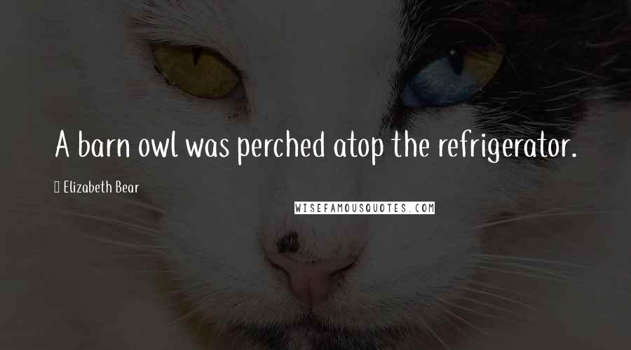 Elizabeth Bear Quotes: A barn owl was perched atop the refrigerator.