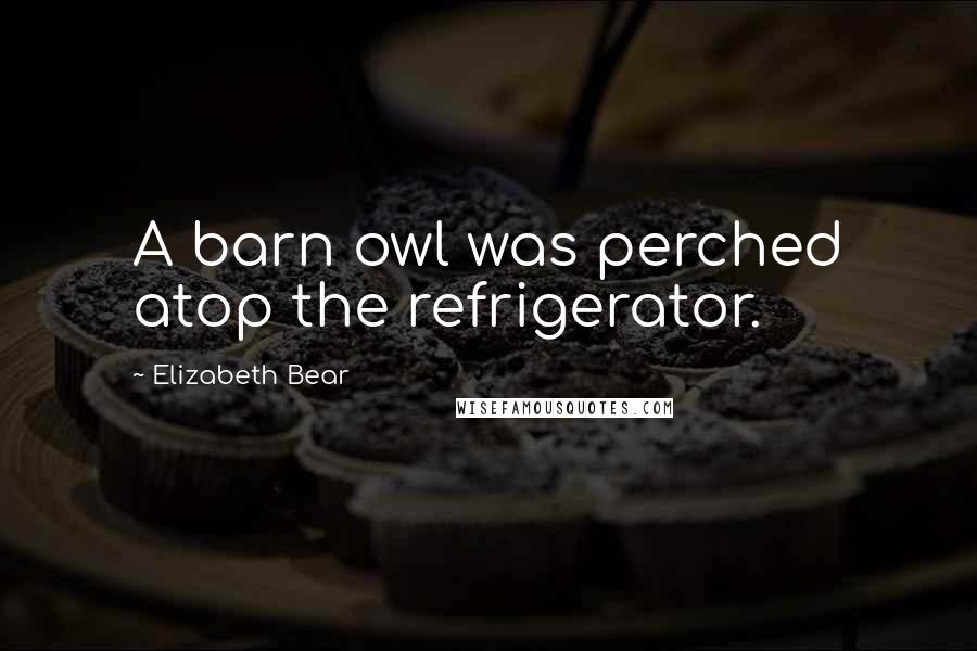 Elizabeth Bear Quotes: A barn owl was perched atop the refrigerator.