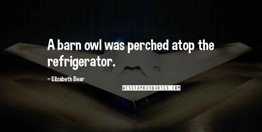 Elizabeth Bear Quotes: A barn owl was perched atop the refrigerator.
