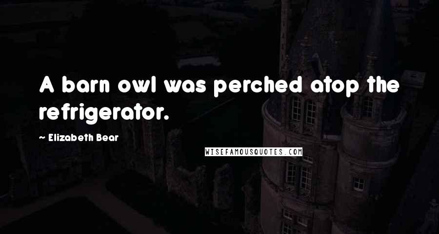 Elizabeth Bear Quotes: A barn owl was perched atop the refrigerator.