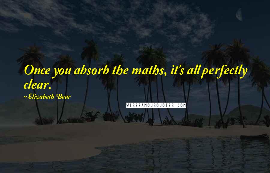 Elizabeth Bear Quotes: Once you absorb the maths, it's all perfectly clear.