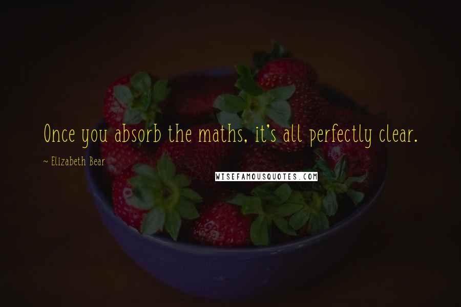 Elizabeth Bear Quotes: Once you absorb the maths, it's all perfectly clear.