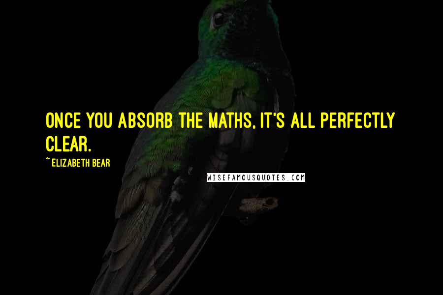 Elizabeth Bear Quotes: Once you absorb the maths, it's all perfectly clear.
