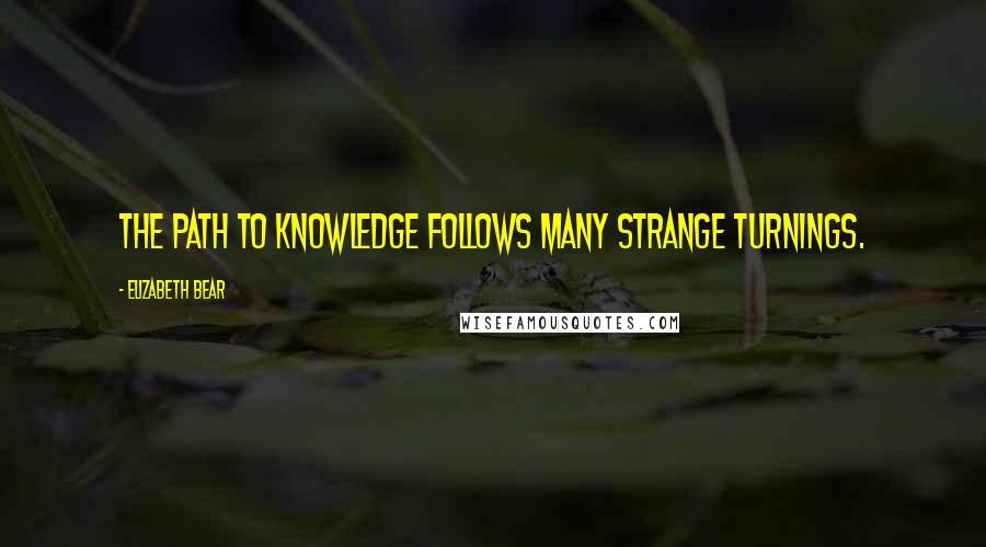 Elizabeth Bear Quotes: The path to knowledge follows many strange turnings.