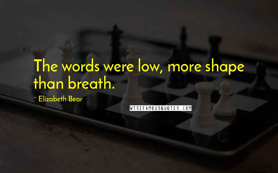 Elizabeth Bear Quotes: The words were low, more shape than breath.