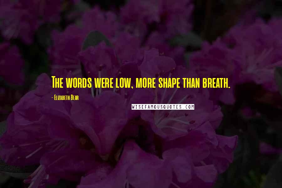 Elizabeth Bear Quotes: The words were low, more shape than breath.