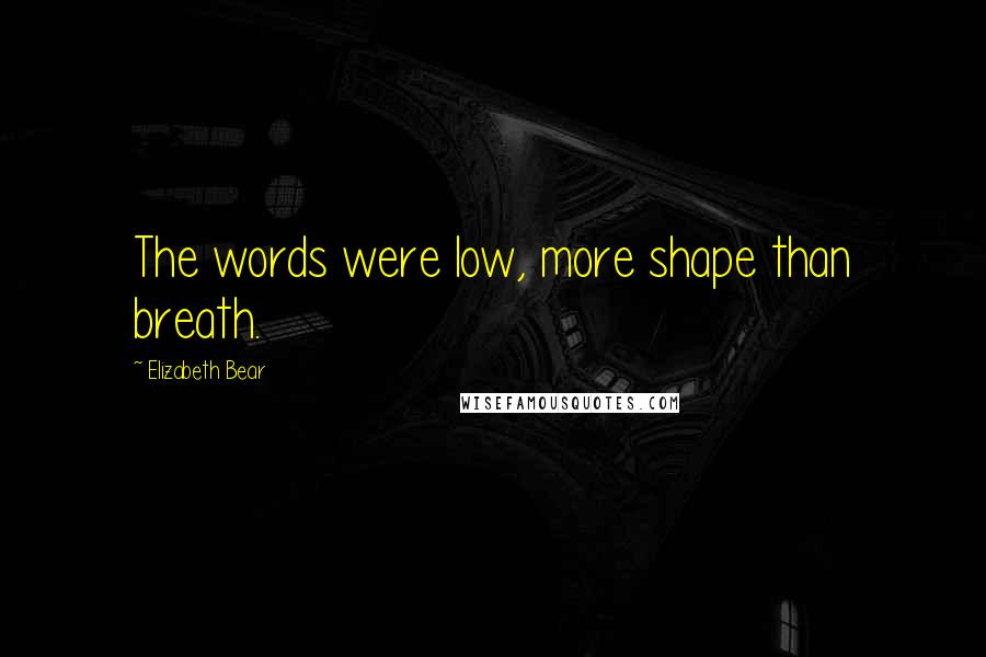 Elizabeth Bear Quotes: The words were low, more shape than breath.