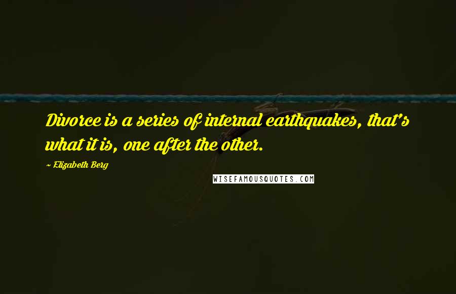 Elizabeth Berg Quotes: Divorce is a series of internal earthquakes, that's what it is, one after the other.