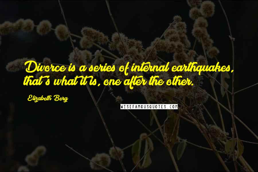 Elizabeth Berg Quotes: Divorce is a series of internal earthquakes, that's what it is, one after the other.