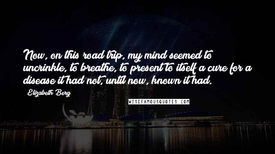 Elizabeth Berg Quotes: Now, on this road trip, my mind seemed to uncrinkle, to breathe, to present to itself a cure for a disease it had not, until now, known it had.