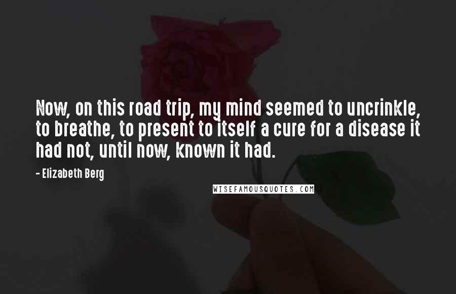 Elizabeth Berg Quotes: Now, on this road trip, my mind seemed to uncrinkle, to breathe, to present to itself a cure for a disease it had not, until now, known it had.