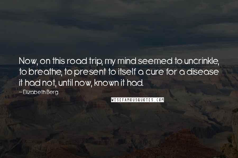 Elizabeth Berg Quotes: Now, on this road trip, my mind seemed to uncrinkle, to breathe, to present to itself a cure for a disease it had not, until now, known it had.